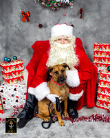 Mila's Mutts Holiday 2021